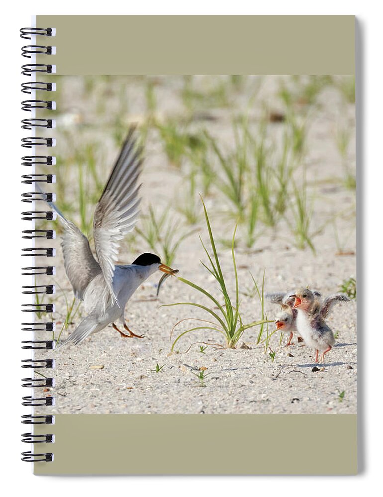 Bird Spiral Notebook featuring the photograph Two Cheers for Breakfast by Susan Rissi Tregoning