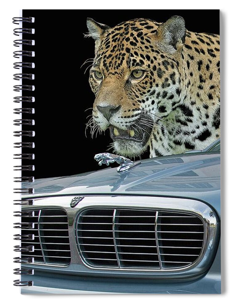 Jaguar Spiral Notebook featuring the photograph Two Jaguars 2 by Larry Linton