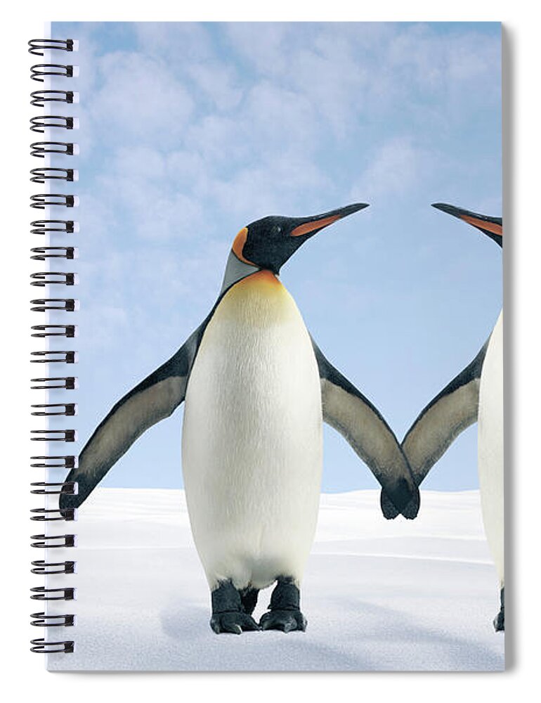 Animal Themes Spiral Notebook featuring the photograph Two Penguins Holding Hands by Fuse
