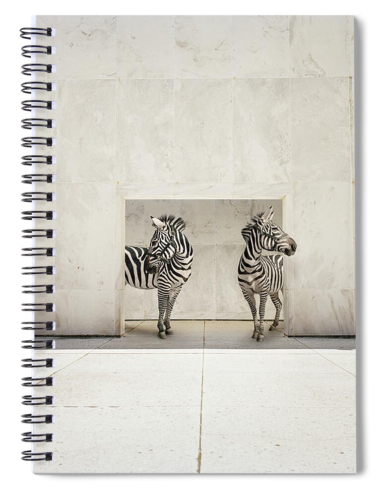 Out Of Context Spiral Notebook featuring the photograph Two Zebras At Doorway Of Large White by Matthias Clamer