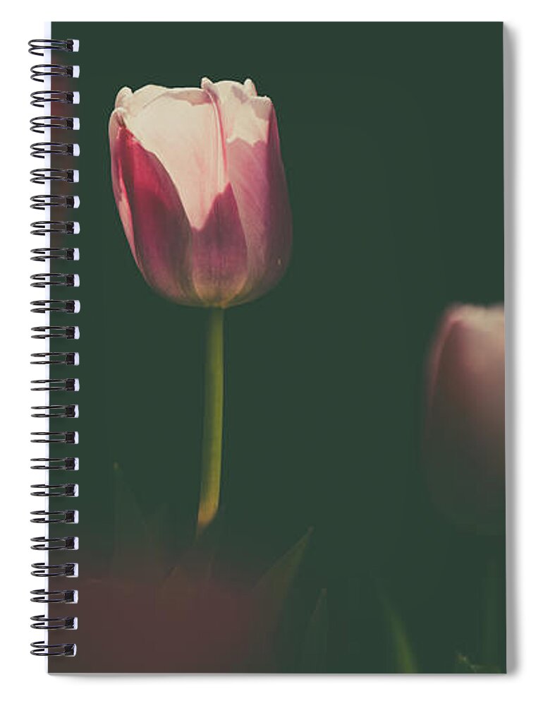  Spiral Notebook featuring the photograph Under the Beam by Dheeraj Mutha