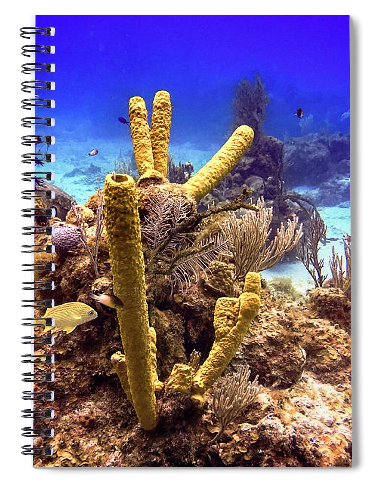 Tourism Spiral Notebook featuring the photograph Underwater by Laura Hedien