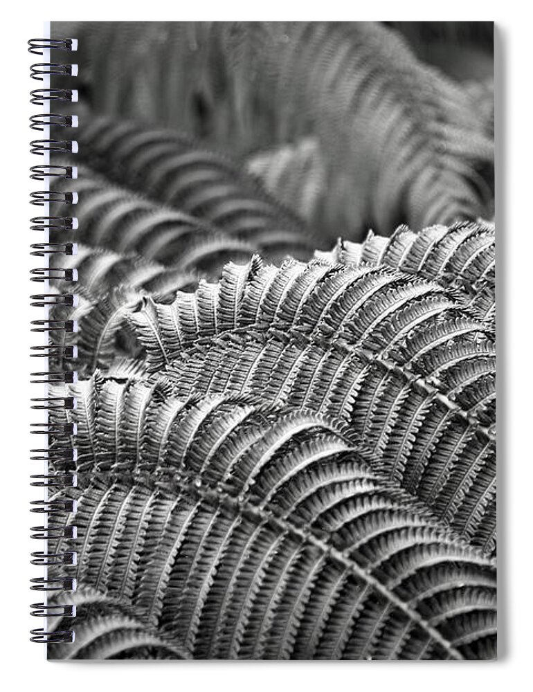 Undulation Spiral Notebook featuring the photograph Undulations by Heidi Fickinger