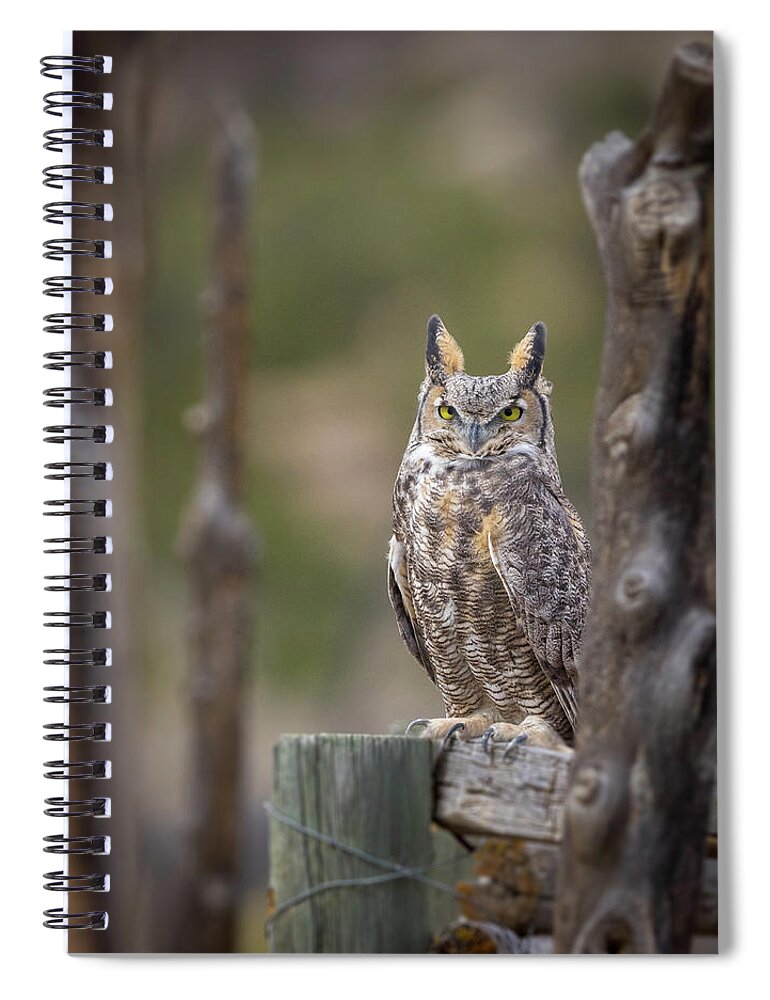 Elk Spiral Notebook featuring the photograph Unit 2 Ghost by Kevin Dietrich