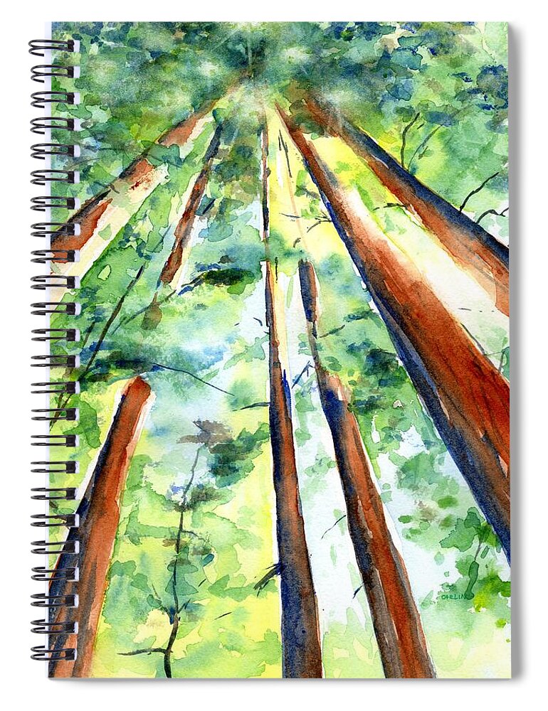 Trees Spiral Notebook featuring the painting Up through the Redwoods by Carlin Blahnik CarlinArtWatercolor