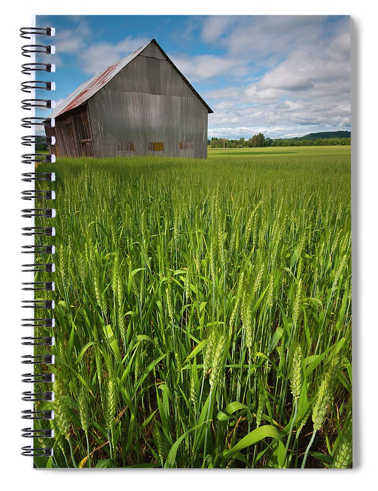 Scenics Spiral Notebook featuring the photograph Usa, Oregon, View Through Wheat Field by Gary J Weathers