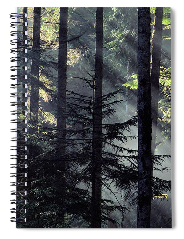 Tropical Rainforest Spiral Notebook featuring the photograph Usa, Washington, Olympic Np, Hoh by Art Wolfe