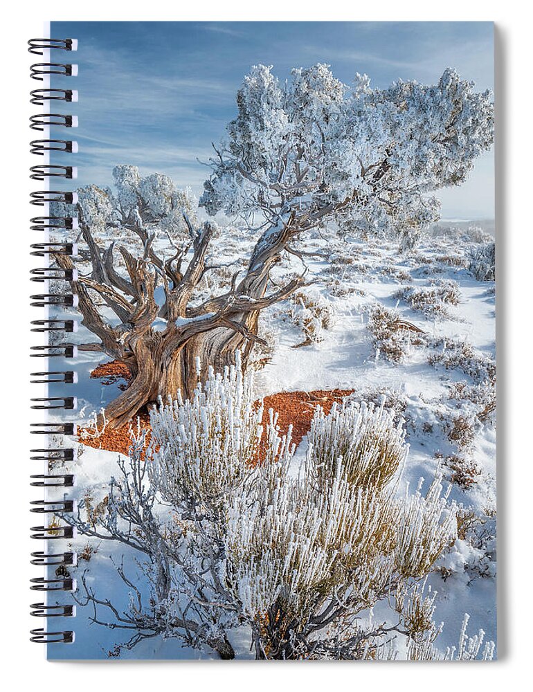 Jeff Foott Spiral Notebook featuring the photograph Utah Juniper With Frost by Jeff Foott