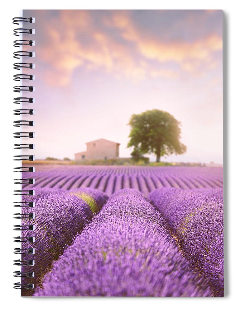 Lavender Field Spiral Notebook featuring the photograph Valensole Plateau 2 by Giovanni Allievi