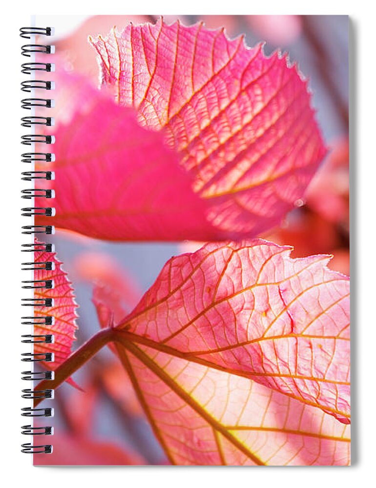 Outdoors Spiral Notebook featuring the photograph Vein by Photograph Shino Ono (lechat8)