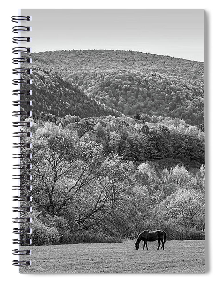 Manchester Spiral Notebook featuring the photograph Vermont Horse and Fall Trees Manchester Vermont Field Black and White by Toby McGuire