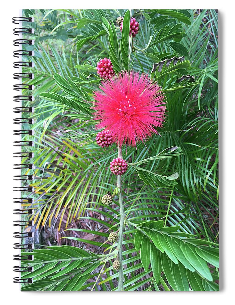 Powderpuff Spiral Notebook featuring the photograph Vertical Powderpuff by Aimee L Maher ALM GALLERY