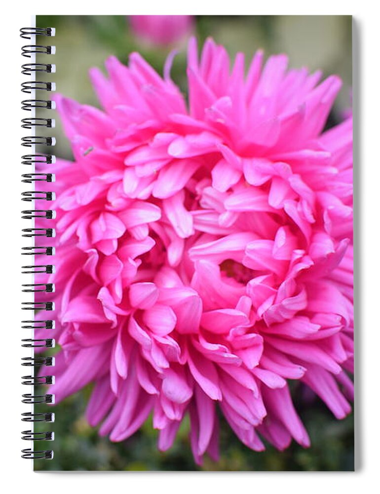 Vibrant Pink Spiral Notebook featuring the photograph Vibrant Pink Flower by Abigail Diane Photography
