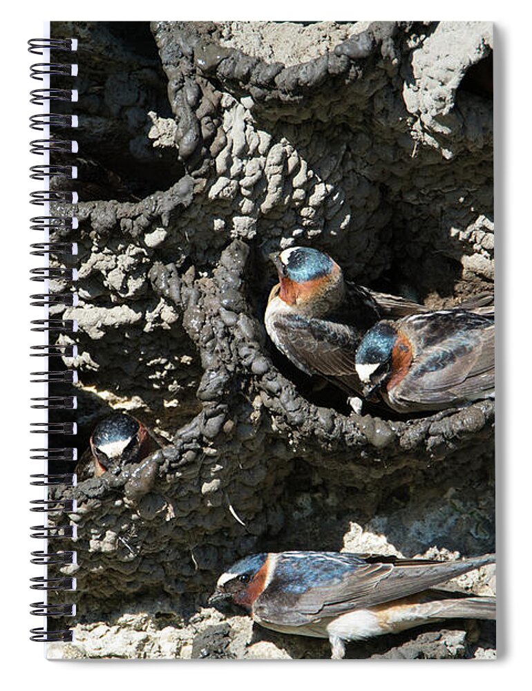 Yellowstone Spiral Notebook featuring the photograph Village Building by Patrick Nowotny