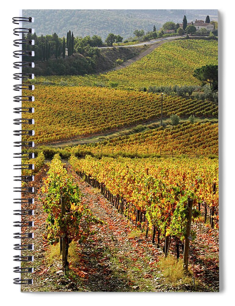 Scenics Spiral Notebook featuring the photograph Vineyards In Autumn by Andreafedericiphoto
