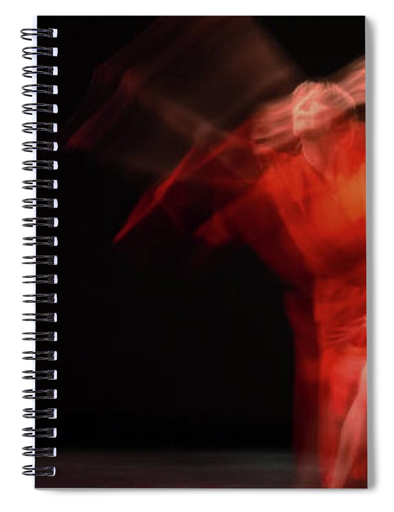 Crychord Spiral Notebook featuring the photograph Visitation 2 by Catherine Sobredo