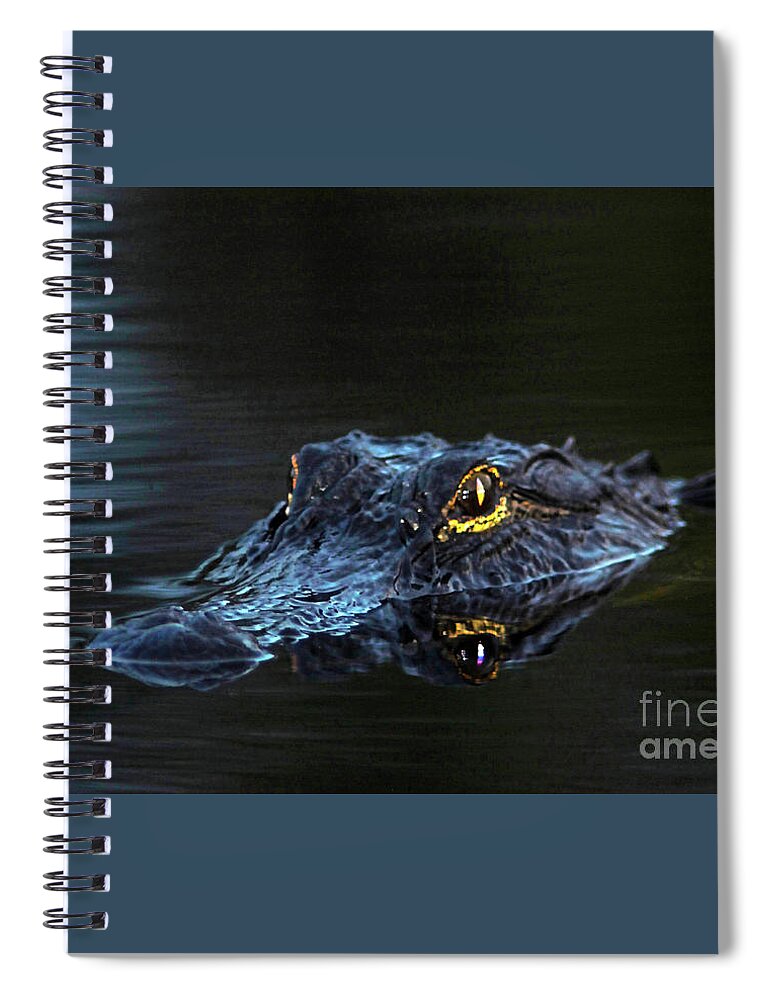 Alligator Spiral Notebook featuring the photograph Waiting in the Moonlight by Jane Axman