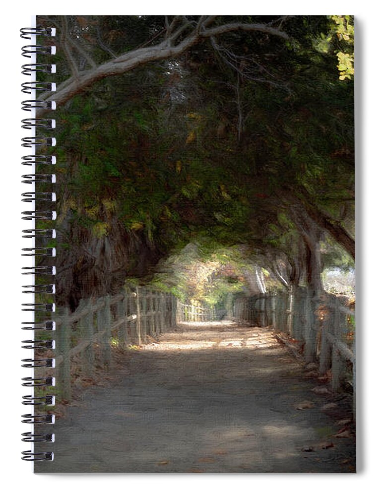 Trail Spiral Notebook featuring the photograph Walking Trail by Alison Frank