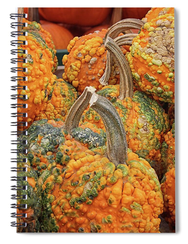 Warty Pumpkin Spiral Notebook featuring the photograph Warty Pumpkins by Karen Adams