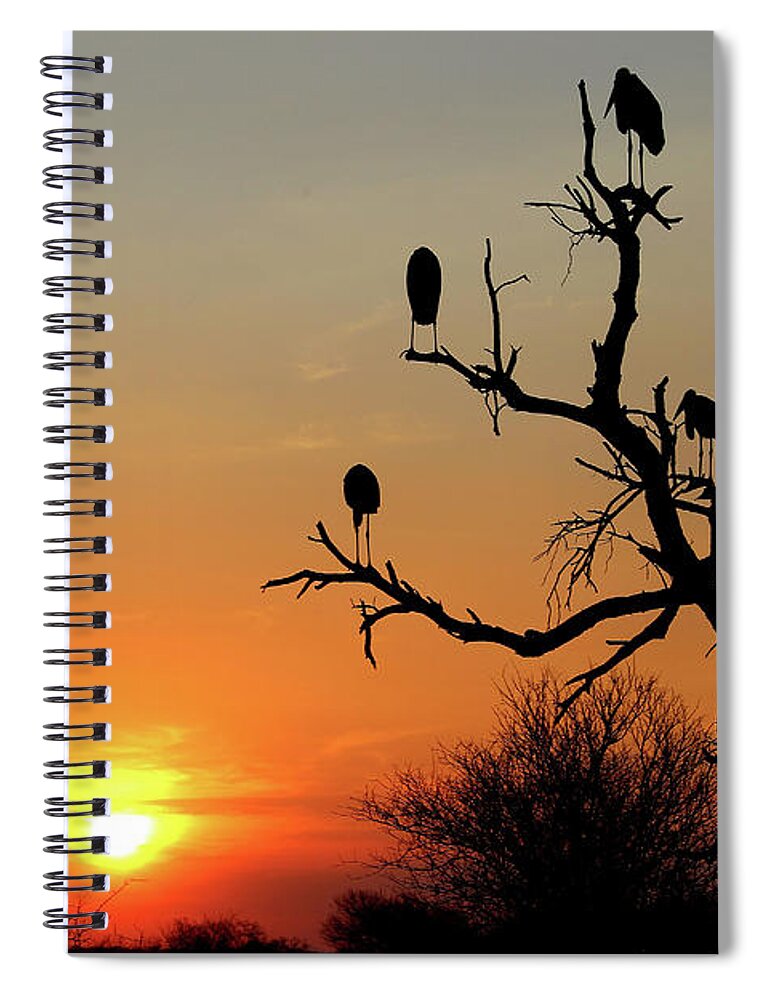  Spiral Notebook featuring the photograph Watching the Sunset by Eric Pengelly