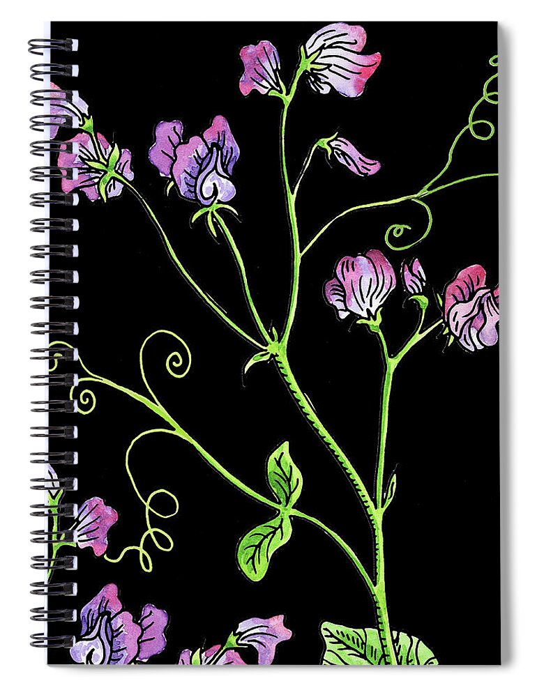 Sweet Pea Spiral Notebook featuring the painting Watercolor Flower Sweet Pea by Irina Sztukowski