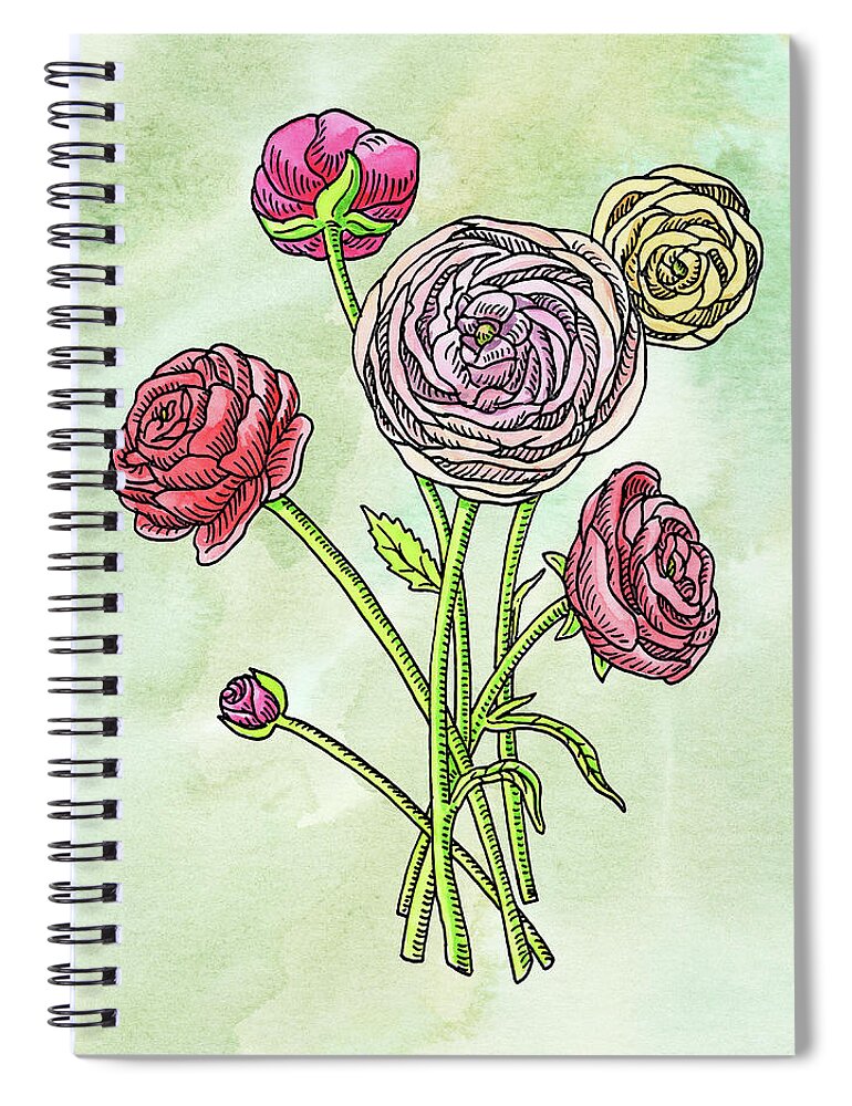 Ranunculus Spiral Notebook featuring the painting Watercolor Ranunculus Botanical Flowers by Irina Sztukowski