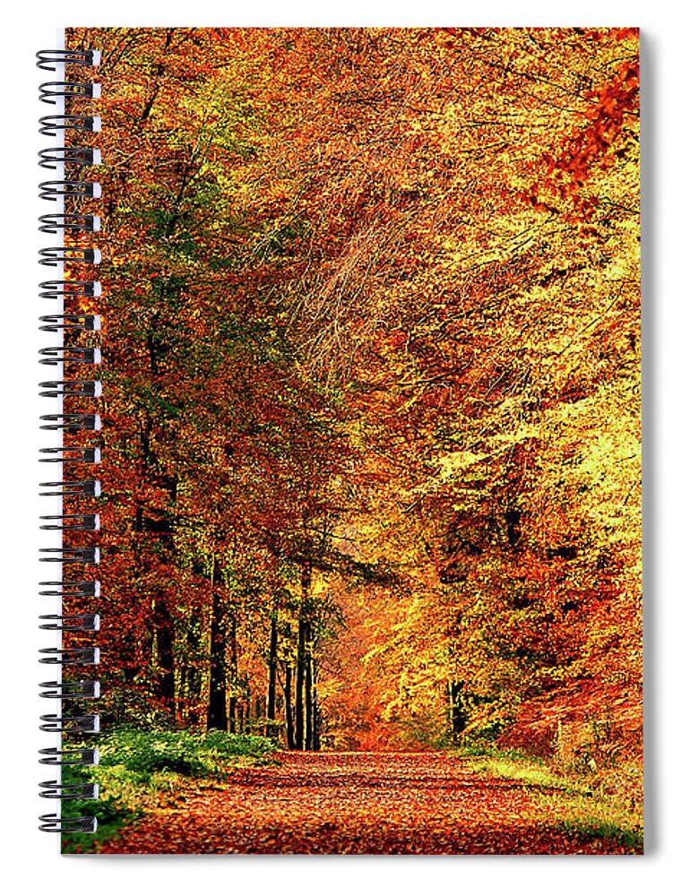 Scenics Spiral Notebook featuring the photograph Way Fall by Philippe Sainte-laudy Photography