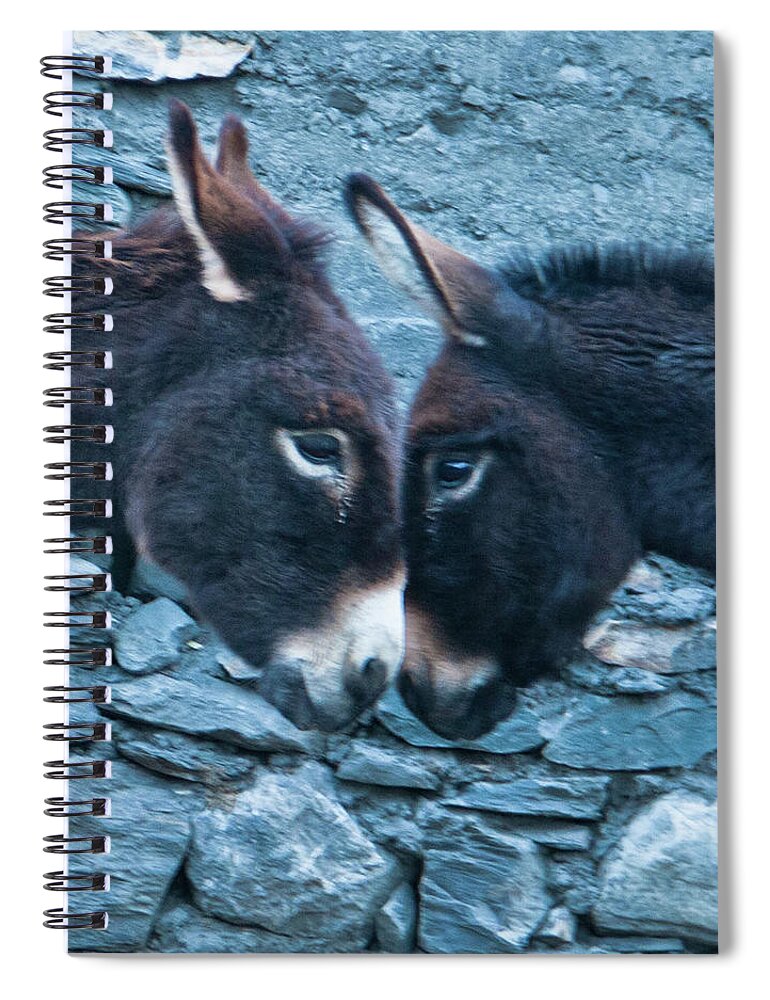 Burro Spiral Notebook featuring the photograph Eye To Eye, Nose To Nose, Heart To Heart by Leslie Struxness