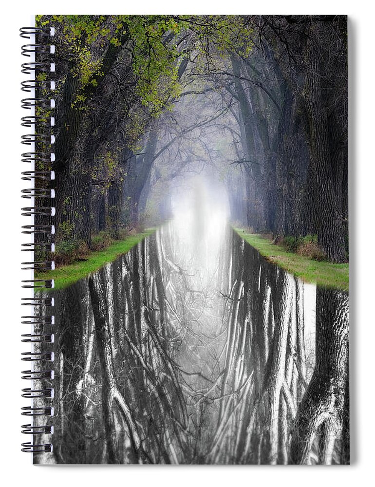 Haunted Tree Tunnel Black And White B&w Weary Road Winter Cold Vanishing Point Perspective Underworld Mirrored Abstract Parallel Universe Vesica Piscis Mystical Magical Dark Forest Gnomes Trolls Scary Tunnel Canal Reflected Wi Wisconsin Evansville Snow “as Above So Below” Bark Spiral Notebook featuring the photograph What Lies Beneath and Beyond #2 - Tree Tunnel at Haunted Weary Road by Peter Herman