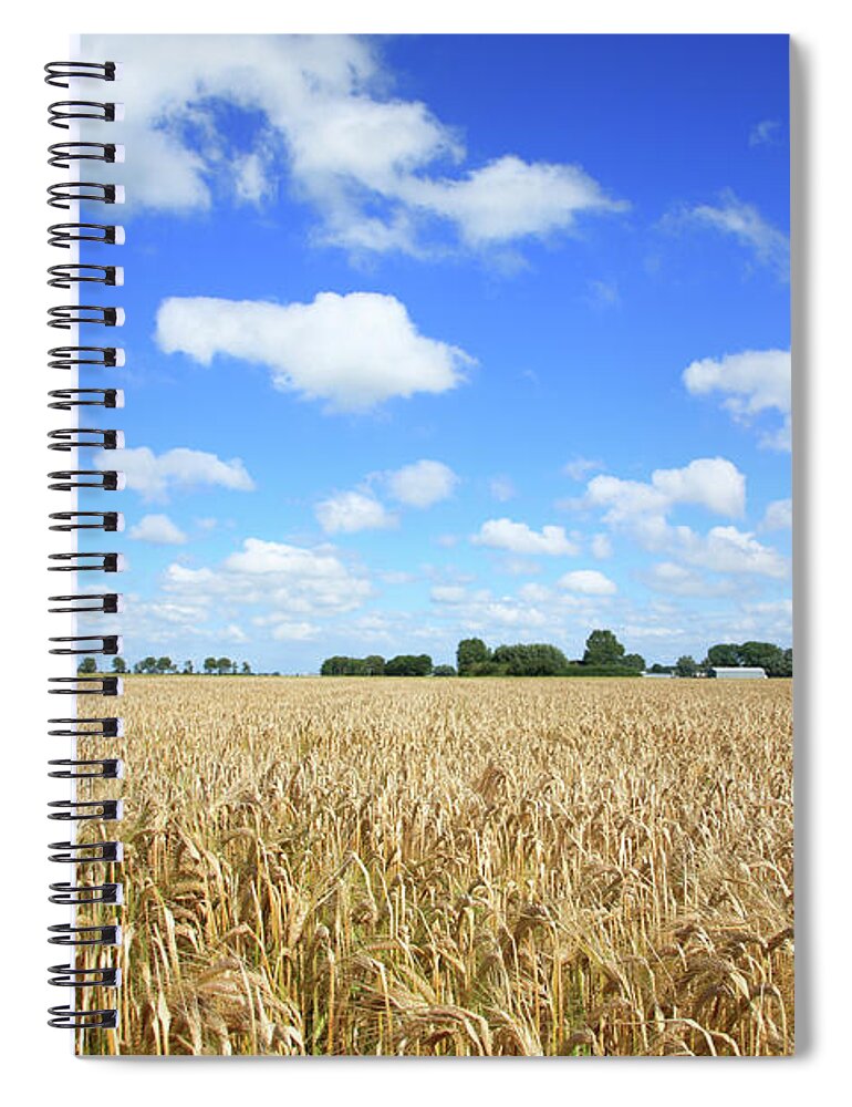 Scenics Spiral Notebook featuring the photograph Wheat Field by Micheldenijs