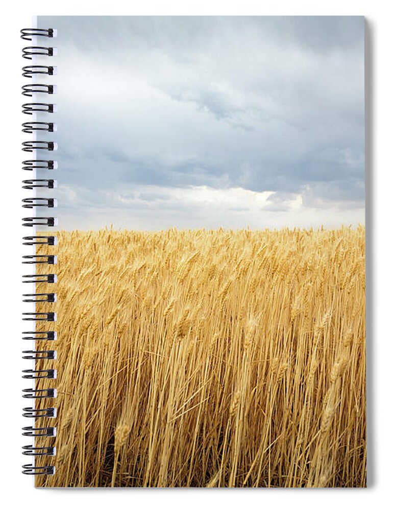 Outdoors Spiral Notebook featuring the photograph Wheat Field Under Dark Clouds by Adrian Studer