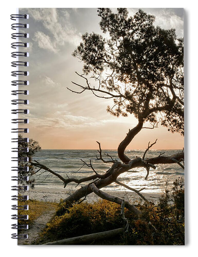 Fischland-darss-zingst Spiral Notebook featuring the photograph Where the Darss-Forest meets the Baltic Sea by Joachim G Pinkawa
