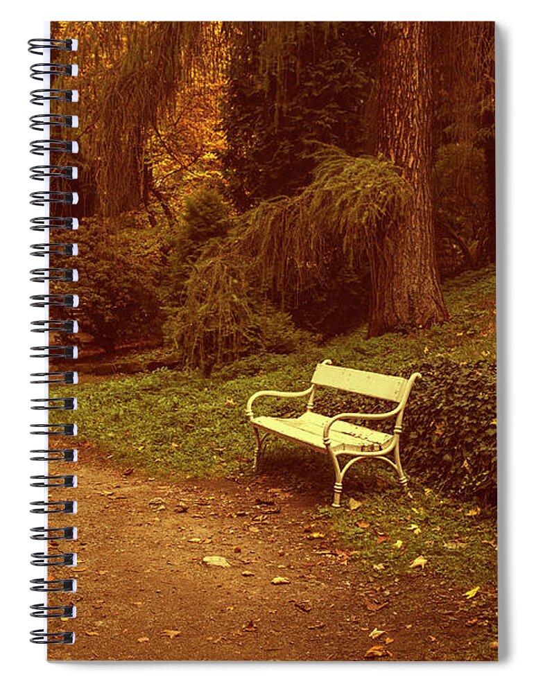Jenny Rainbow Fine Art Photography Spiral Notebook featuring the photograph White Bench in Secret Garden 1 by Jenny Rainbow