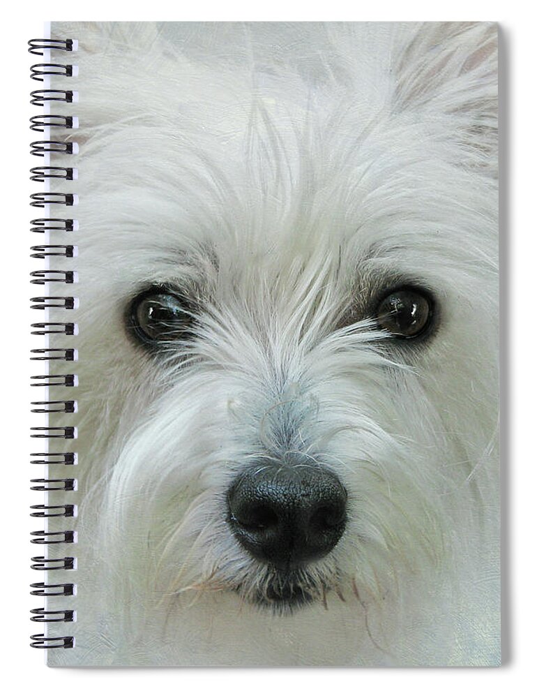 Pets Spiral Notebook featuring the photograph White Dog by Melinda Moore