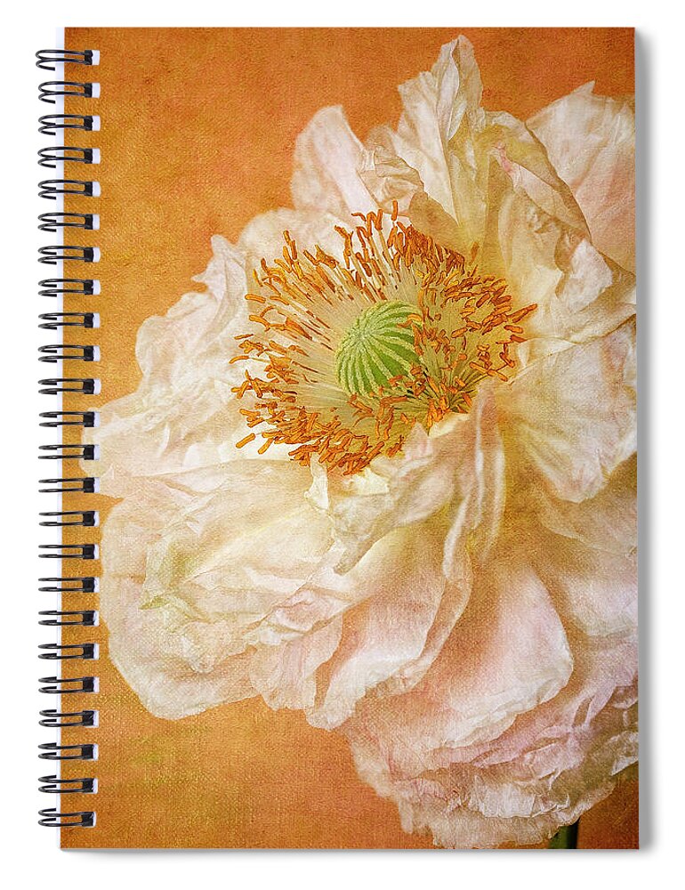 Loire Valley Spiral Notebook featuring the photograph White Double Poppy by © Leslie Nicole Photographic Art