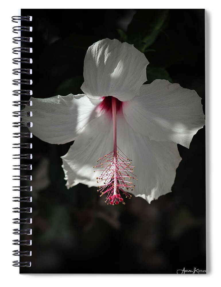 Hibiscus Spiral Notebook featuring the photograph White Hibiscus by Aaron Burrows