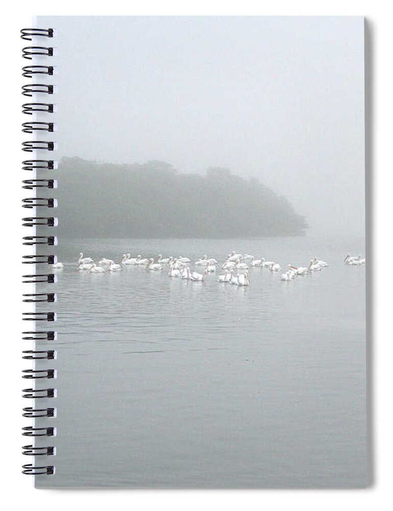 Nature Spiral Notebook featuring the photograph White Pelicans on a Foggy Morning by Mariarosa Rockefeller
