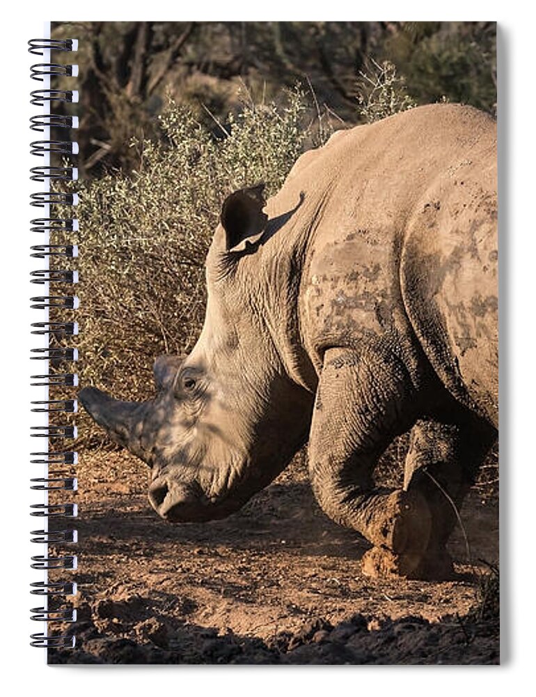  Spiral Notebook featuring the photograph White Rhino 2 by Claudio Maioli