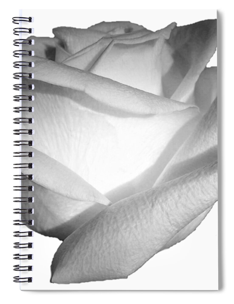 White Spiral Notebook featuring the photograph White Rose Cropped Best for Shirts by Delynn Addams