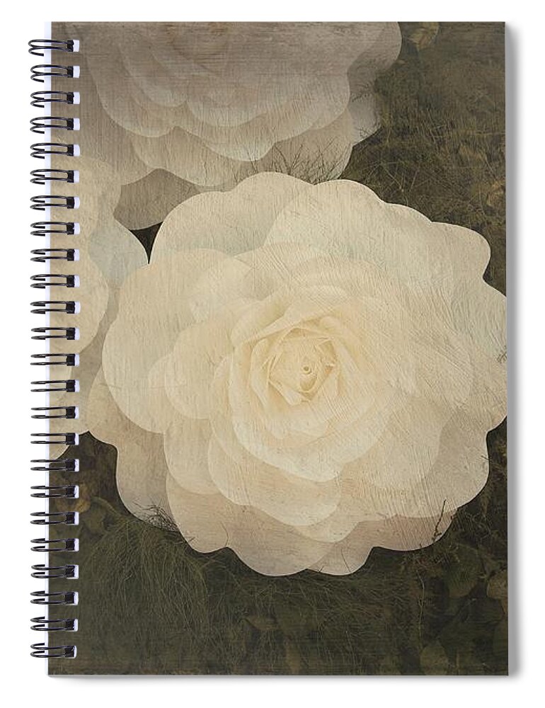 Outdoors Spiral Notebook featuring the photograph White Roses by Silvia Marcoschamer