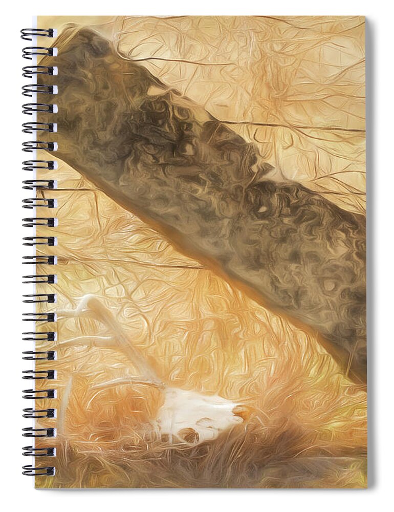 Kansas Spiral Notebook featuring the photograph White-tail Deer 010 by Rob Graham