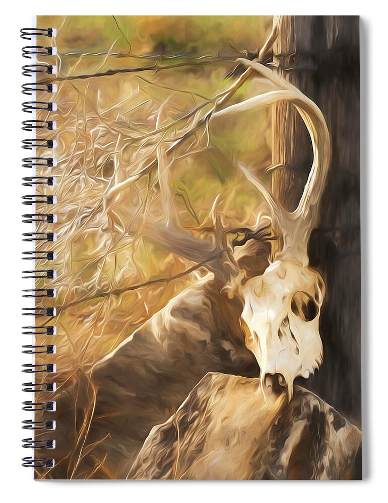 Kansas Spiral Notebook featuring the photograph White-tail Deer 011 by Rob Graham