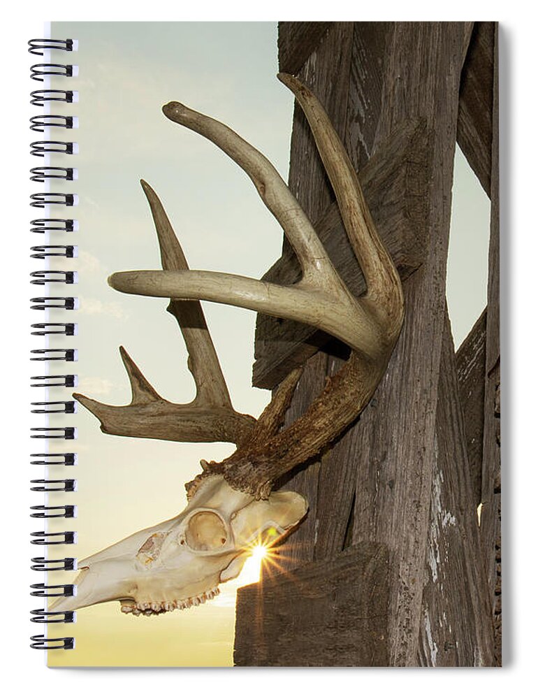 Kansas Spiral Notebook featuring the photograph White-tail Deer 017 by Rob Graham