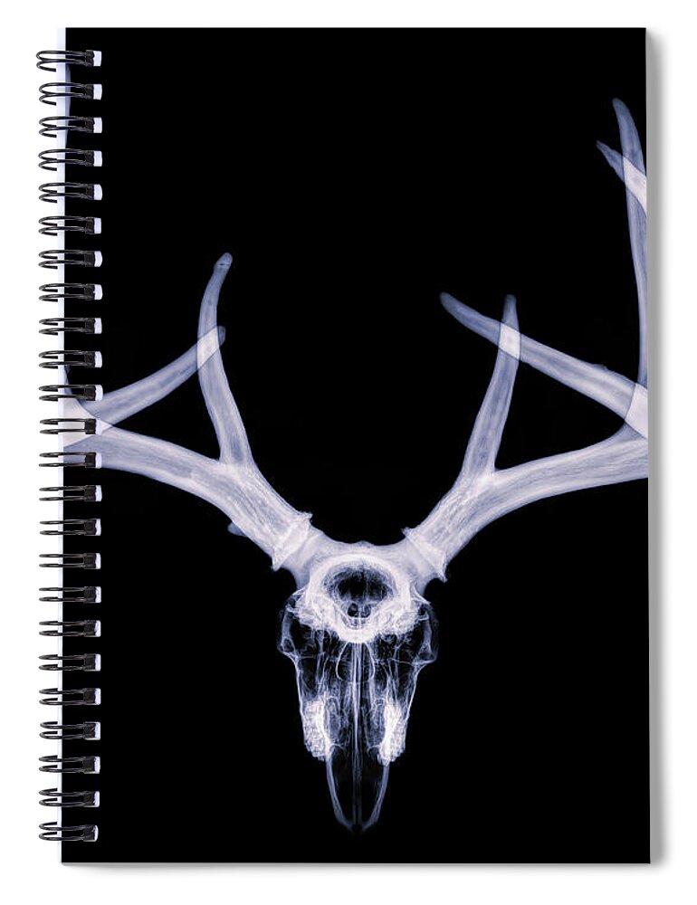 Kansas Spiral Notebook featuring the photograph White-tailed Deer x-ray 005 by Rob Graham