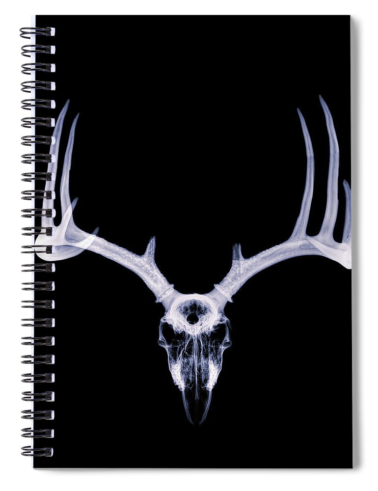 Kansas Spiral Notebook featuring the photograph White-tailed Deer x-ray 006 by Rob Graham