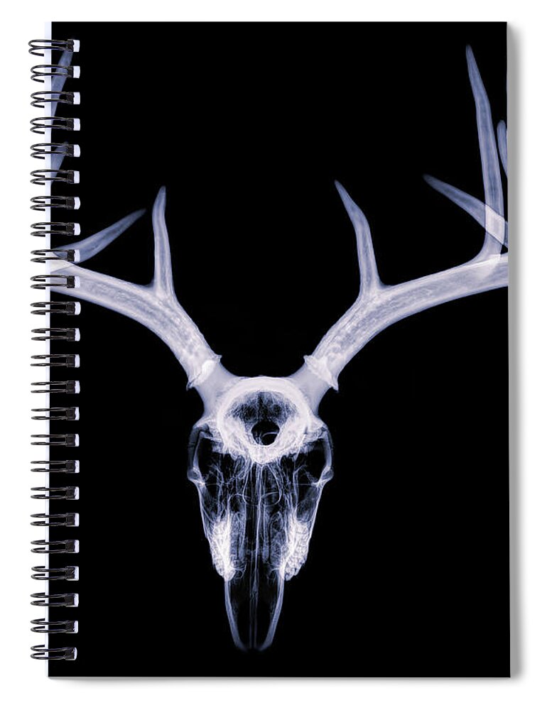 Kansas Spiral Notebook featuring the photograph White-tailed Deer x-ray 011 by Rob Graham