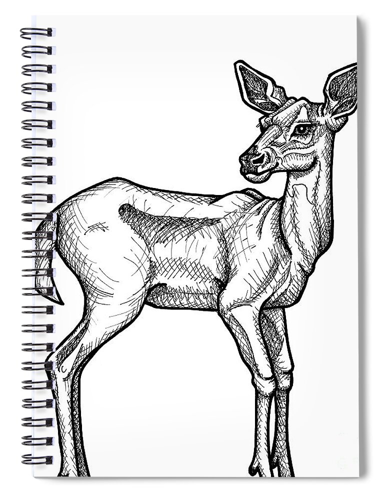 Animal Portrait Spiral Notebook featuring the drawing White Tailed Doe by Amy E Fraser