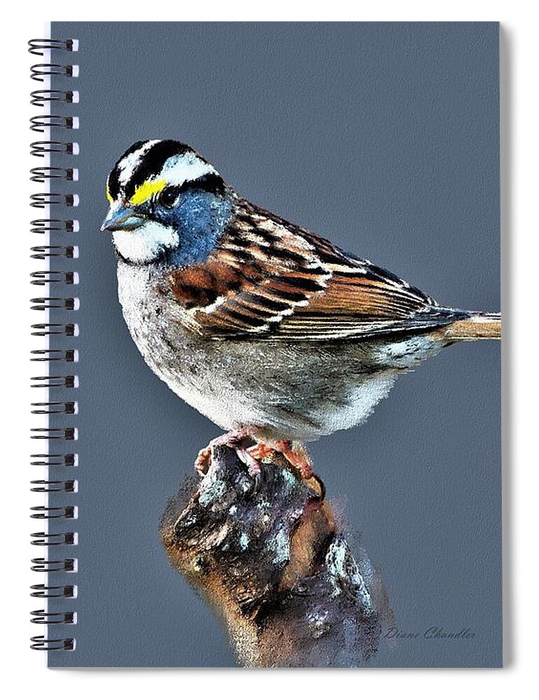 White Throated Sparrow Spiral Notebook featuring the digital art White-Throated Sparrow by Diane Chandler