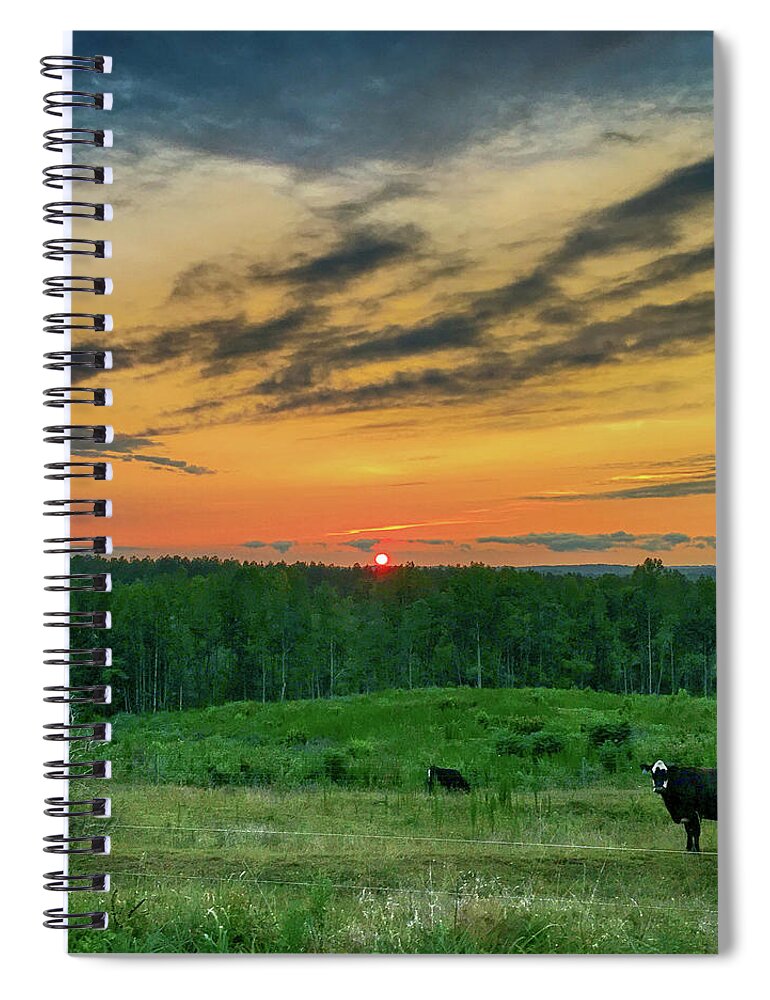 Sunset Spiral Notebook featuring the photograph Who puts the Cows to Bed by Michael Frank