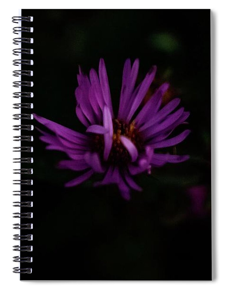 Dark Spiral Notebook featuring the photograph Wholeness by Terri Hart-Ellis